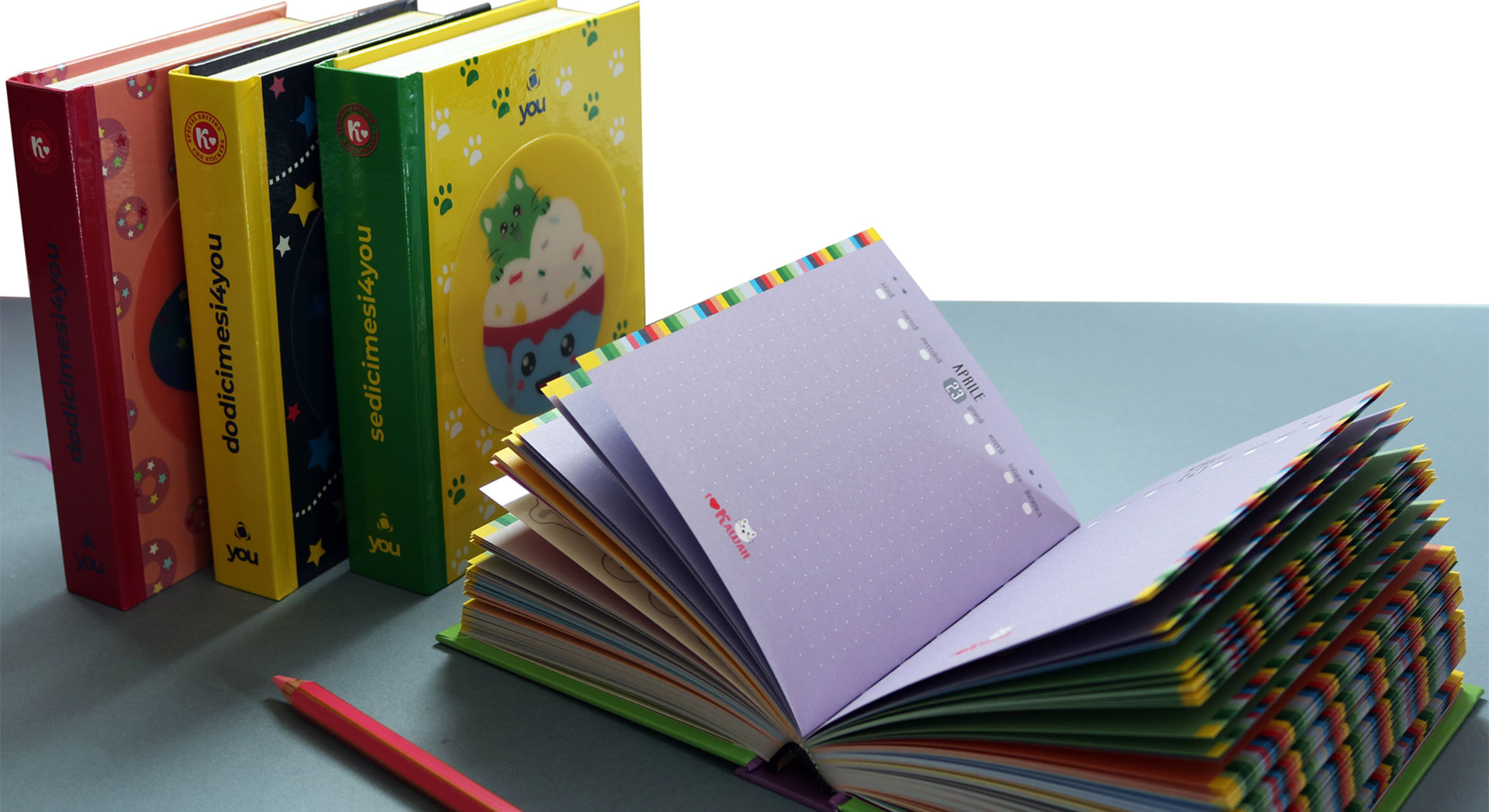 Diaries and Notebook